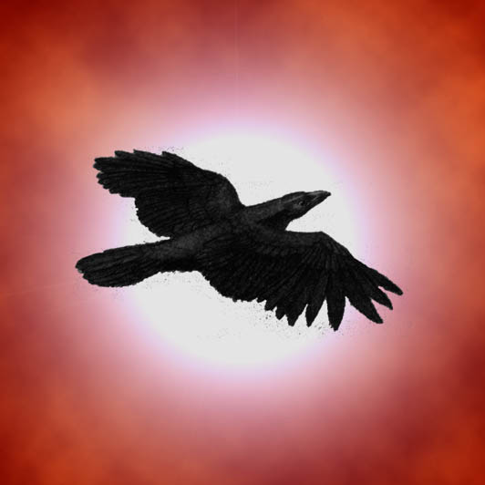 Healing Crow Logo